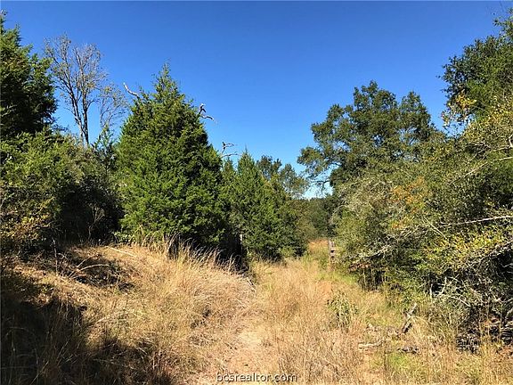 5th image of 30 Five Acres Cr 329