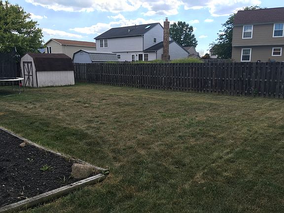 Back yard view