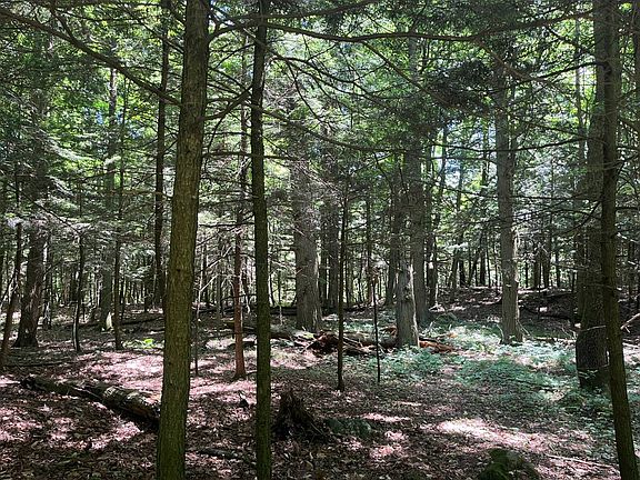 2nd image of 0 Eddy Pyrites Rd #4