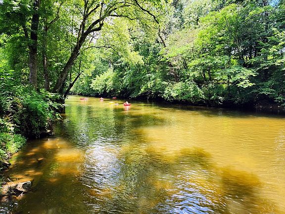 5th image of 1940 Pittman Center Rd