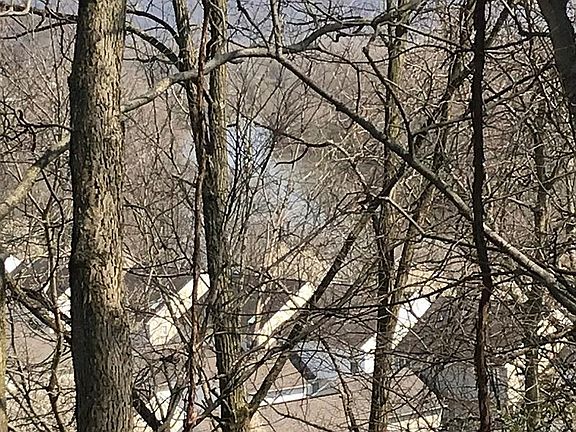 3rd image of 3712 Pocahontas Ave