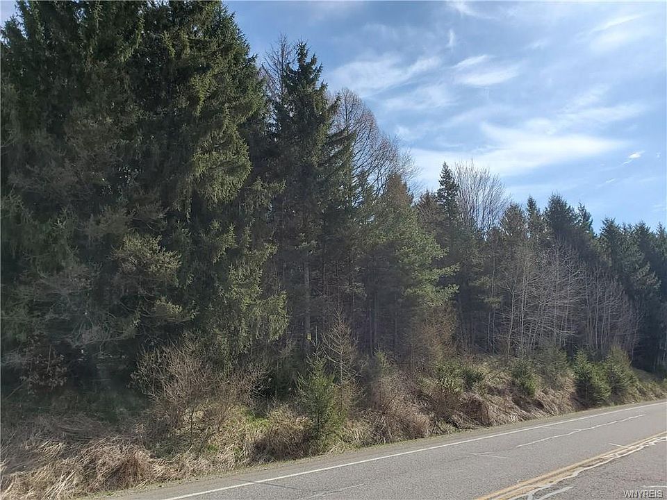 2nd image of Ellicottville Maples Rd