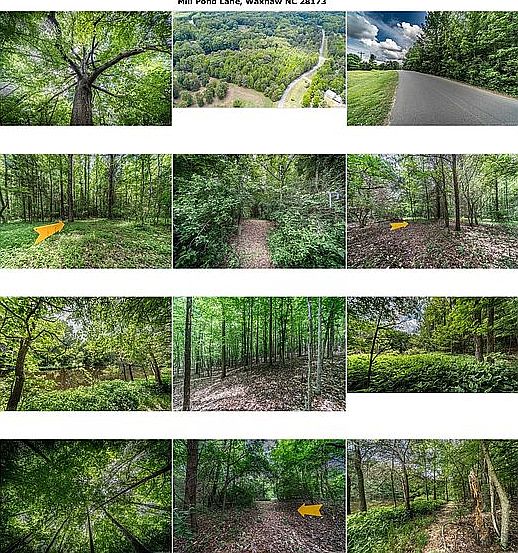 Densely wooded, hardwoods