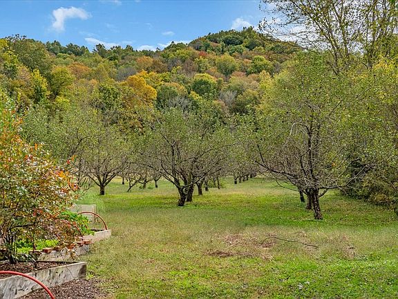 47th image of this home