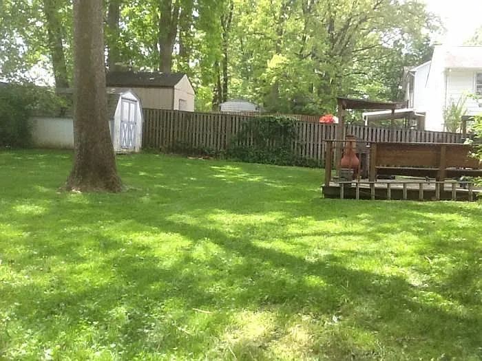 Back Yard 2