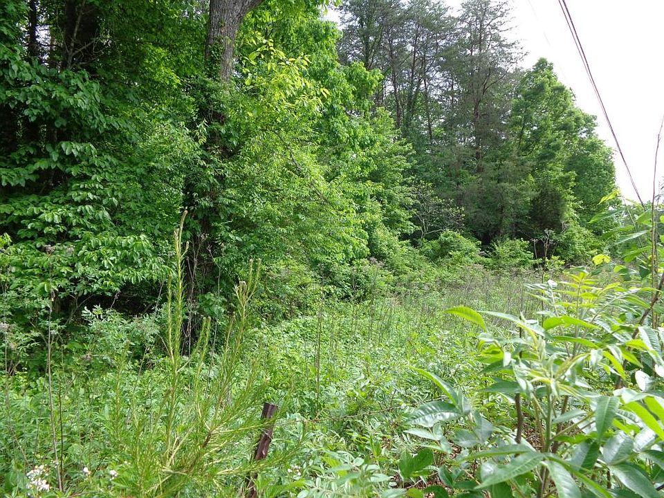 2nd image of 315 Gibson Rd