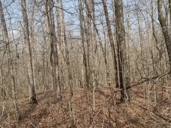 0 2nd Dr Lot 145, Altamont, TN 37301