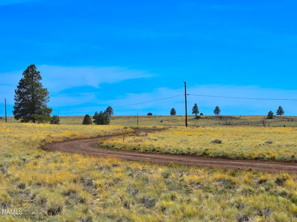 12719 E Tanner Ranch Rd, Parks, AZ 86018