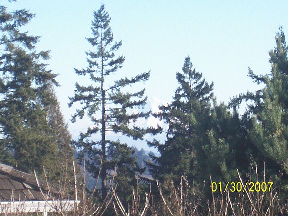 Mt Hood Telephoto Beauty