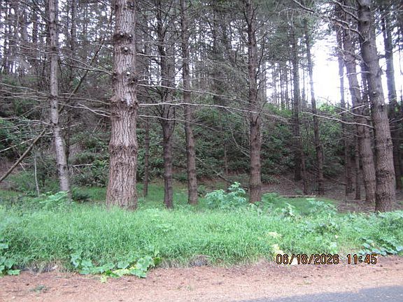 5th image of 52 Madrone Rd