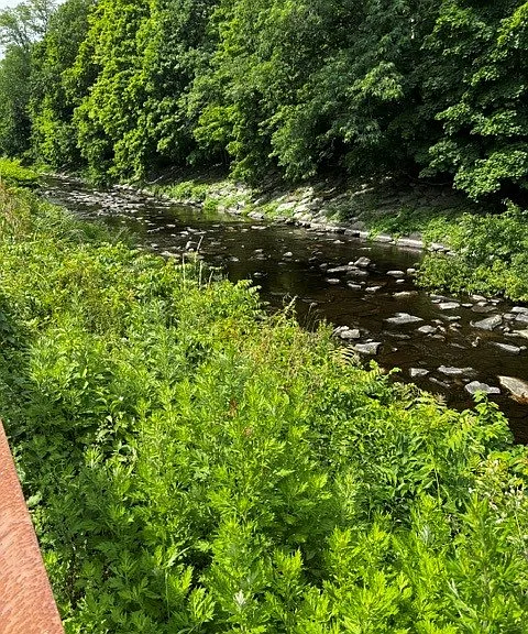 Serene river views