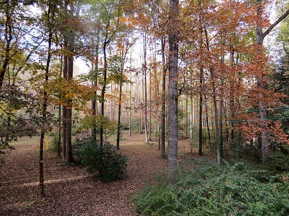 backyard in fall
