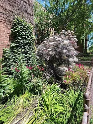 Rented by EXP Realty