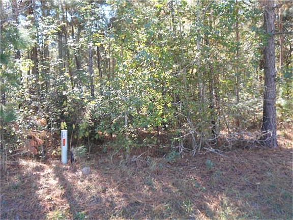 3rd image of 25421 Indian Falls Ct