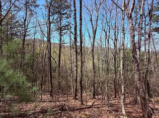 751 Morton Dr, Ellijay, GA 30540