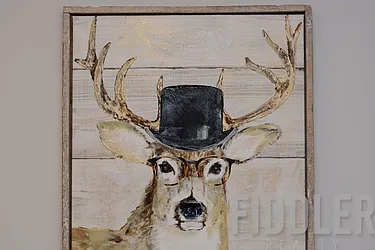 Rented by Fiddler Realty