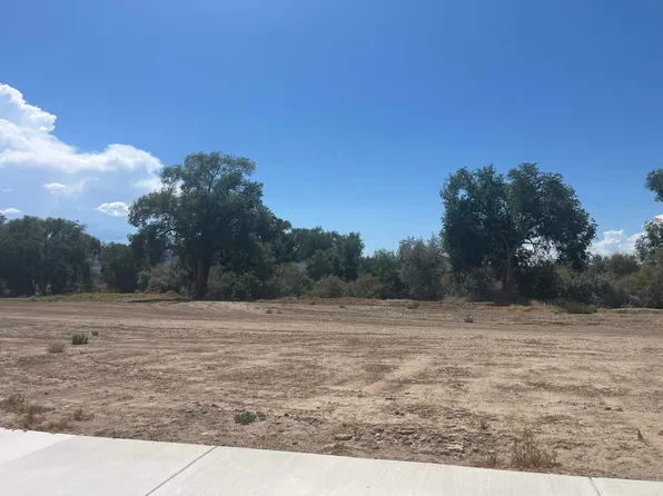 973 Hay Bale Ct, Fruita, CO 81521