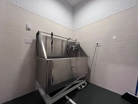 Rented by Corcoran | media 28