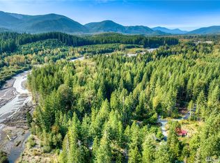 56316 343rd Avenue Ct E, Ashford, WA 98304