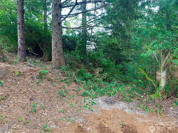 2nd image of 735 Gadwall Court SE