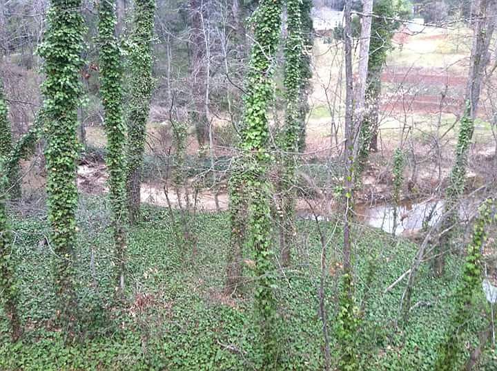 2nd image of 1175 Grayland Hills Trl