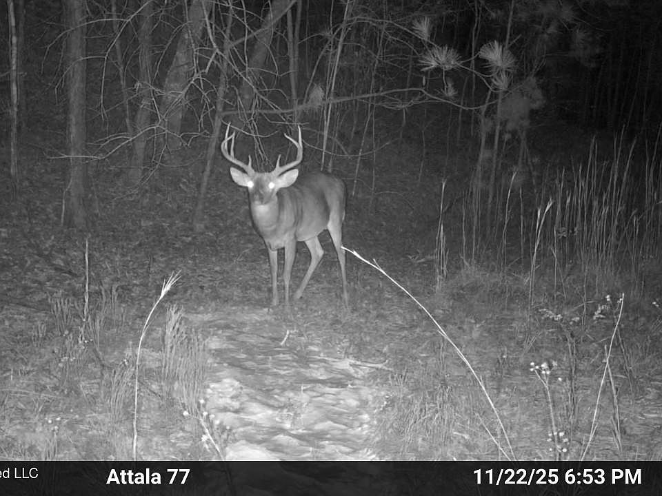 1st image of Old Trace Rd