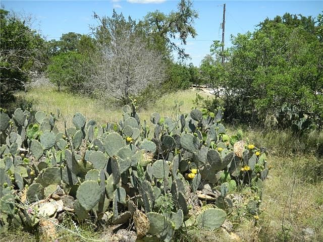 1st image of 158 Alondra Ln