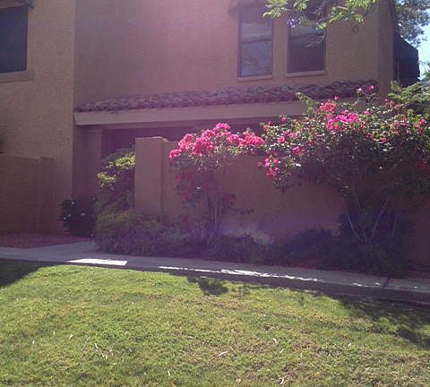 4th image of 740 E North Ln Unit 2