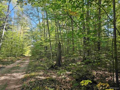 Tbd 2nd St, Manistique, MI, 49854