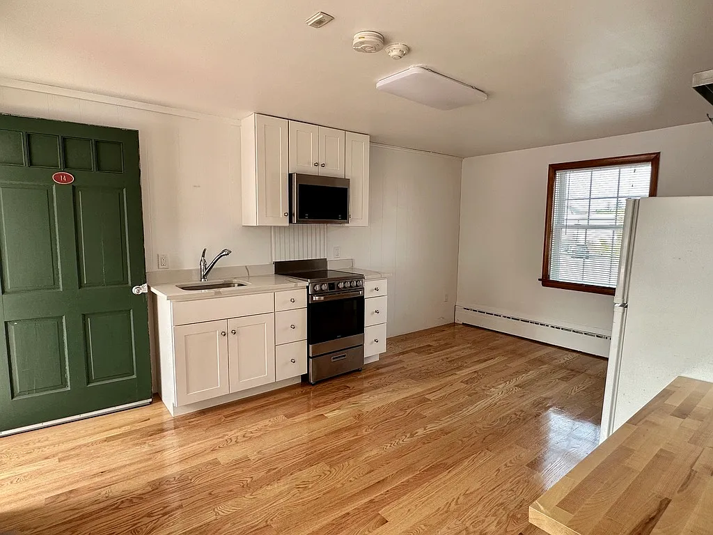 Studio, 243 sqft, $1,225 — Photo 3