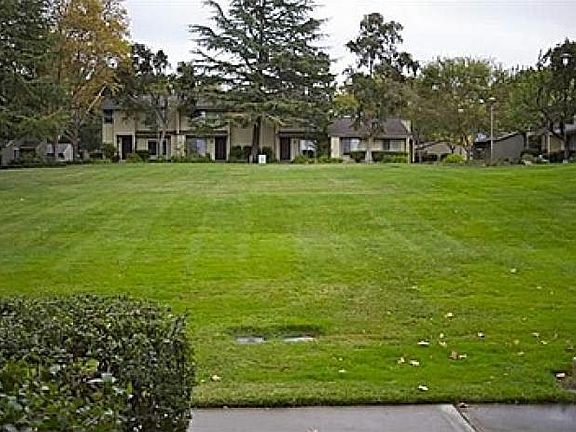 Lawn