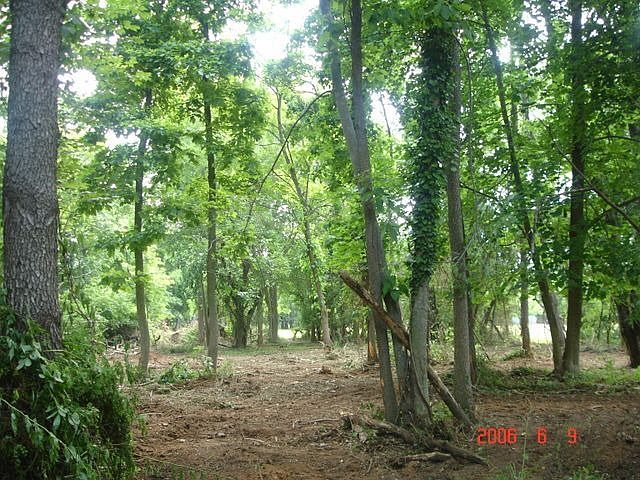 Beautiful wooded lot
