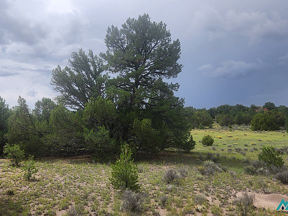 3rd image of Pinewood Cir