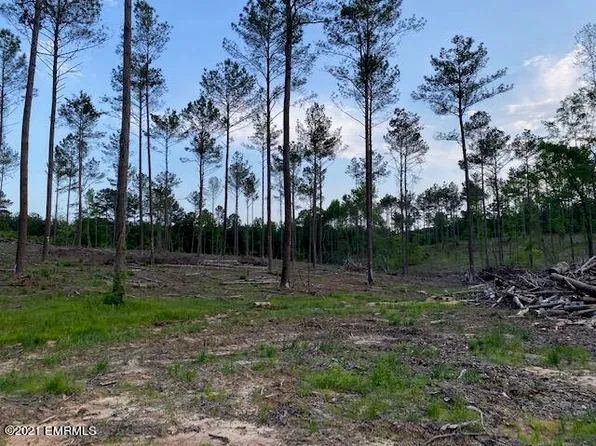 Highway 19 N, Philadelphia, MS 39350