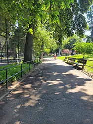 Rented by Pear NYC LLC