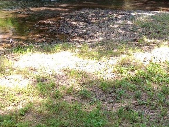 5th image of 5100 Washington Valley Rd Parcel 1