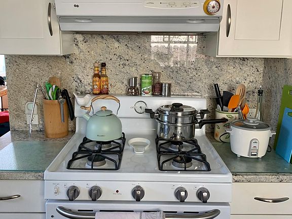 Gas Stove