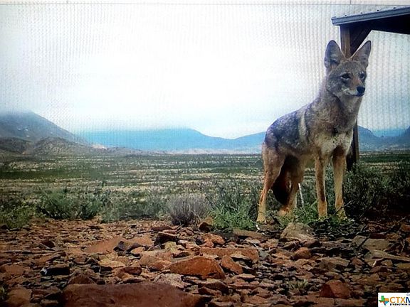 4th image of 100 Little Javelina Hill Rd