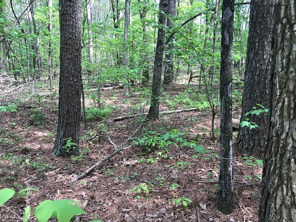 2nd image of Reindeer Ln