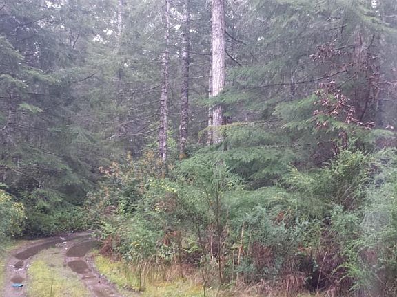 2nd image of 1210 E Deer View Cir