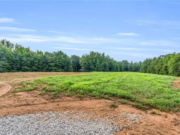 0 Bobo Dr, Fayette, AL 35555