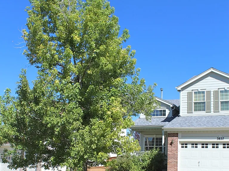 3837 Garnet Way — Photo 2