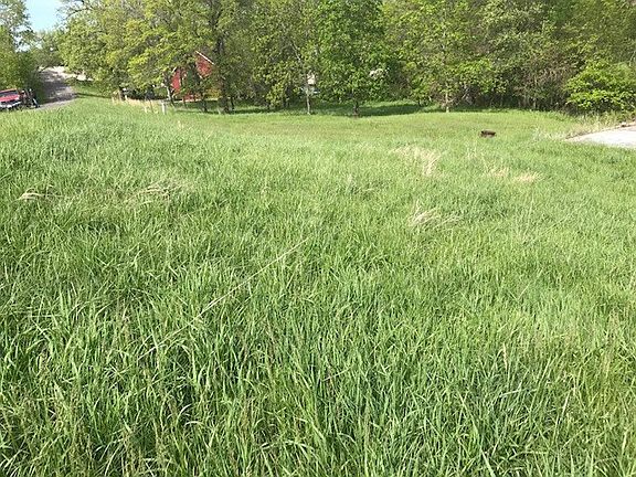 4th image of 28055 Dogwood Dr