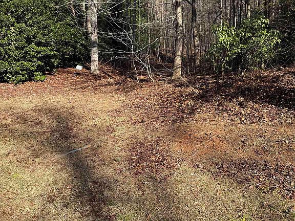 3rd image of 24 Windswept Ln