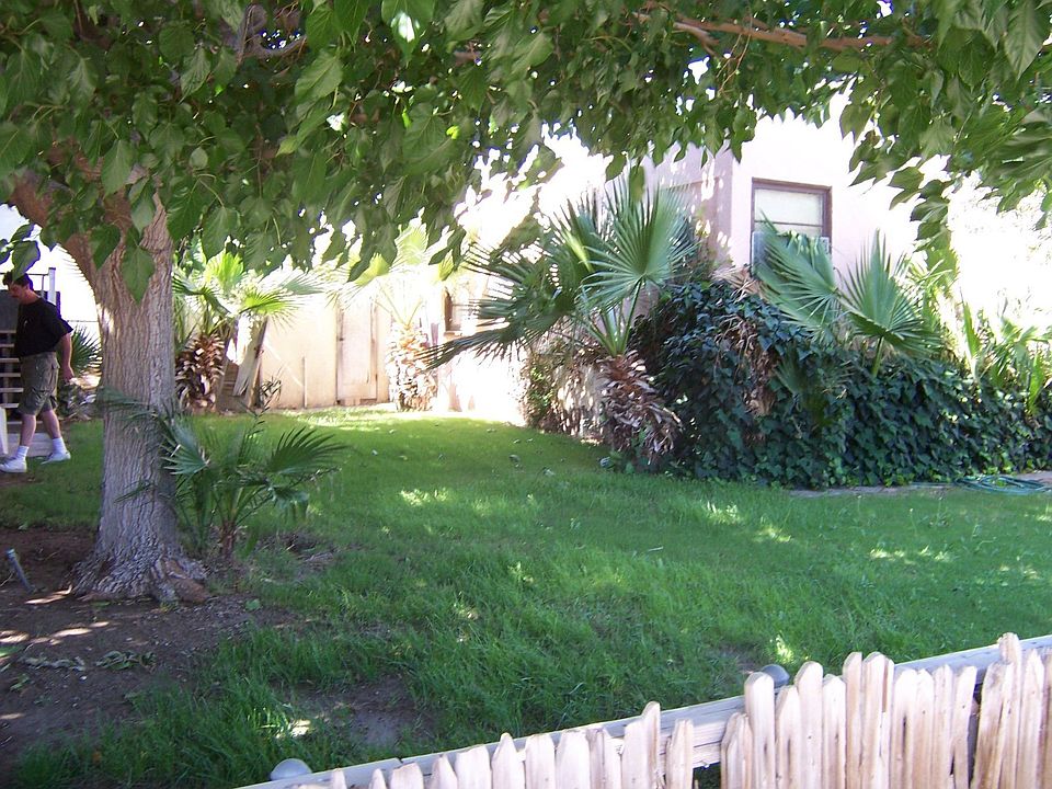 Backyard. E of house.