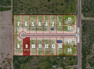 111 Starrview Dr, Rio Grande City, TX 78582