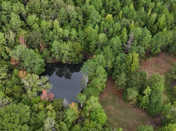 County Road 207, Carrollton, MS 38917