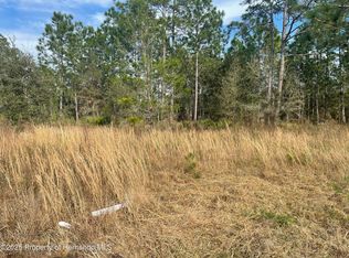 18061 Necklace Warbler Ave, Brooksville, FL 34614
