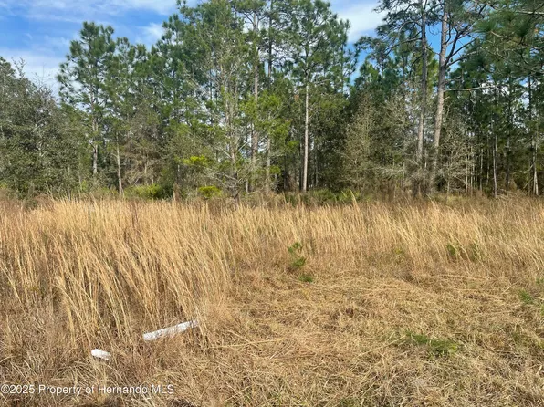 18061 Necklace Warbler Ave, Brooksville, FL 34614