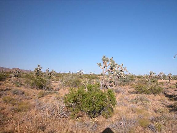 4th image of 8322 W Las Cruces Dr